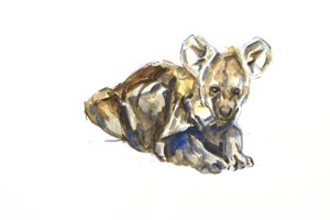 Hyena welp, 2020 door David Mayer