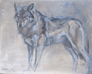 Wolf 1, 2023
