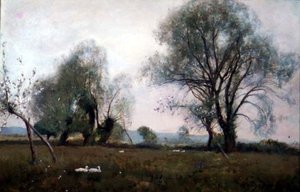 Beneden in de waterweiden