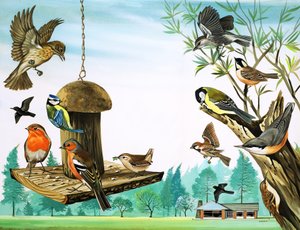 Allerlei vogels rond de tuintafel, illustratie uit 