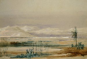 Malaga door David Roberts