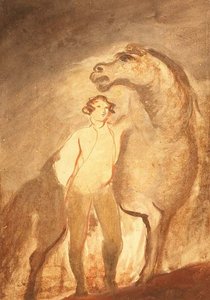 Man en paard