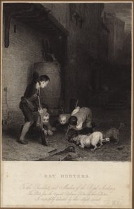 Rattenjagers door David Wilkie