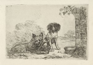 Twee honden