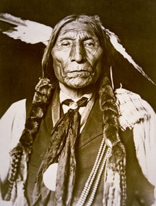 Wolf Robe (geb.1841) 1909 door DeLancey W. Gill