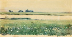 Landschap met Moerassen, 1898