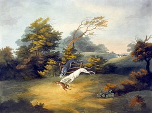 Coursing, plaat 4, gegraveerd door R.G. Reeve