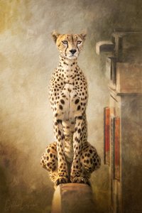Koninklijk portret van een cheeta door Debbie Lefever