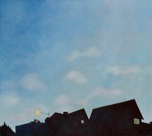 Schemerdaken, 2003