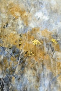 Abstracte weidebloemen door Delphine Devos