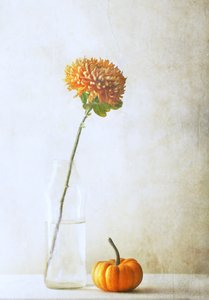  door Delphine Devos