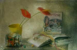  door Delphine Devos