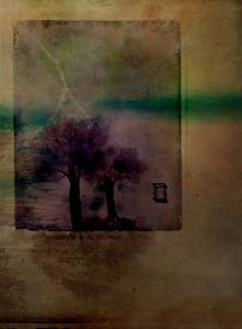  door Delphine Devos
