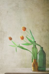  door Delphine Devos