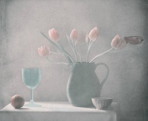  door Delphine Devos
