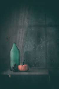  door Delphine Devos