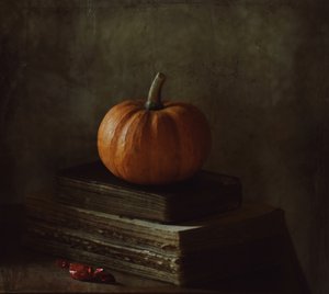  door Delphine Devos