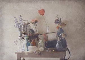  door Delphine Devos
