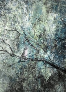 Rustige wintervogel