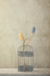  door Delphine Devos
