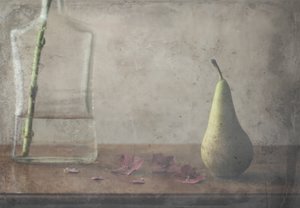  door Delphine Devos