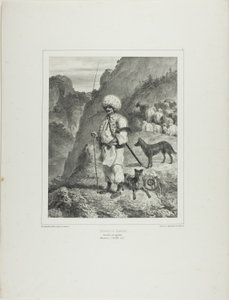 Bannat Herder, Linkeroever van de Donau door Denis Auguste Marie Raffet