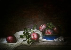 Stilleven met sombere pruimen door Denis O Reilly