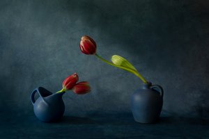 Elegant stilleven met tulpen