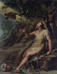 Sint Johannes de Doper in de wildernis