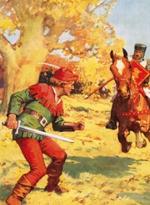 Robin Hood onder vuur