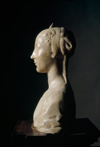 Buste van jonge dame