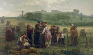 Papavers oogsten in Picardië, 1860