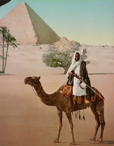 Bedoeïen op een kameel en de Grote Piramide, Caïro, Egypte door Detroit Photographic Co.