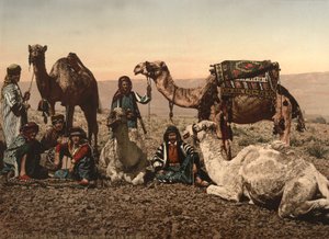 Kamelen Haltend in de Woestijn, Heilig Land, c.1890 door Detroit Photographic Co.