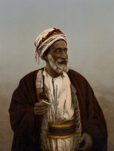 Sjeik van een Palestijns dorp, Heilig Land door Detroit Photographic Co.