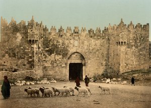 De Damascuspoort, Jeruzalem, Heilig Land, c.1890-c.1900 door Detroit Photographic Co.