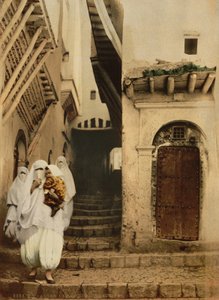 Straat van de kamelen, Algiers, ca. 1899 (fotochrom) door Detroit Publishing Co.