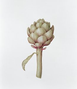 Artisjok, 1999 door Diana Everett
