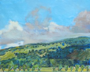 Calif Hills, 2006