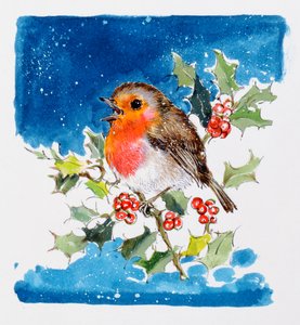Roodborstje door Diane Matthes