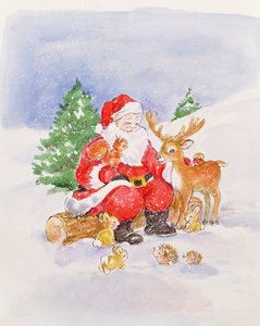 Kerstman en Vrienden door Diane Matthes