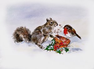 De Eekhoorn en de Roodborst