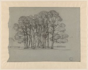 Groep bomen op een lage heuvel