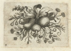 Festoen van vruchten