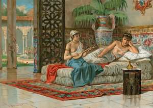 Een slaaf in de harem