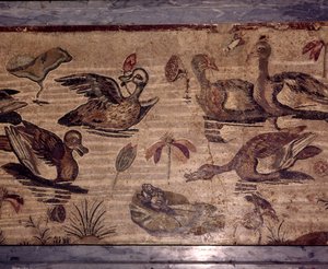 Romeins Mozaïek uit Pompeii van eenden en kikkers in een watertuin, 1e eeuw door Dioscurides of Samos