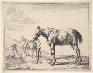 Paard gebonden aan een paal, naar links gedraaid door Dirck Stoop