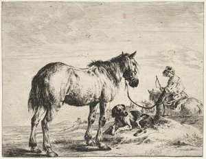 Paard gebonden aan een paal