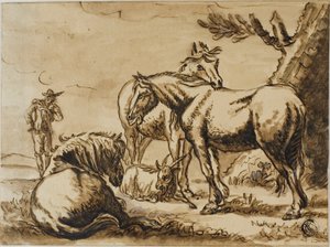 Paarden, geit en een man