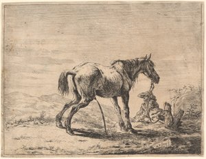 Steigerend paard bij een stal door Dirck Stoop